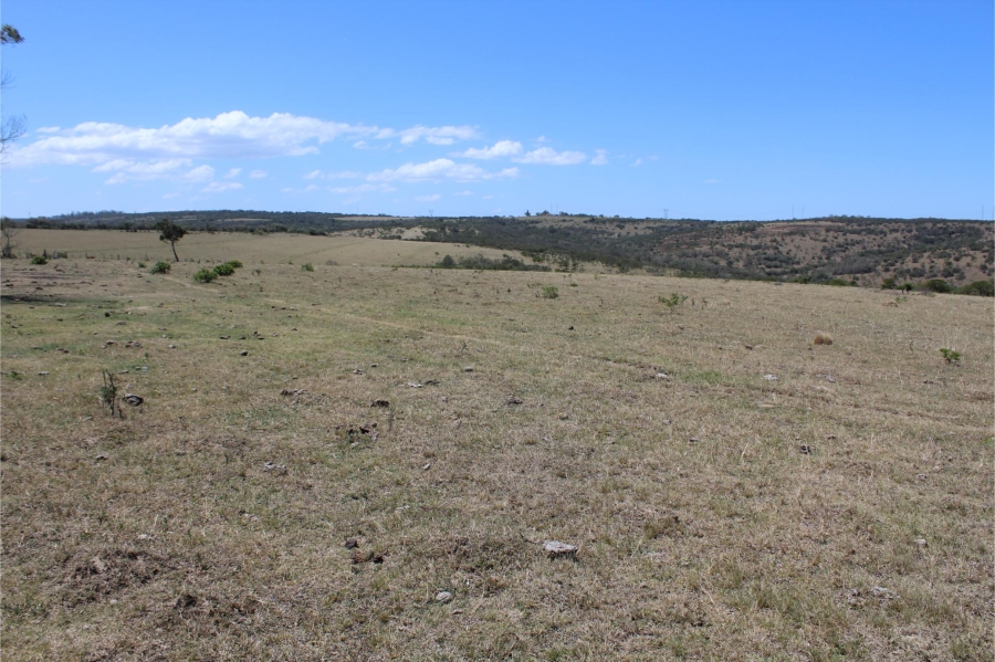 5 Bedroom Property for Sale in Mooiplaas Eastern Cape